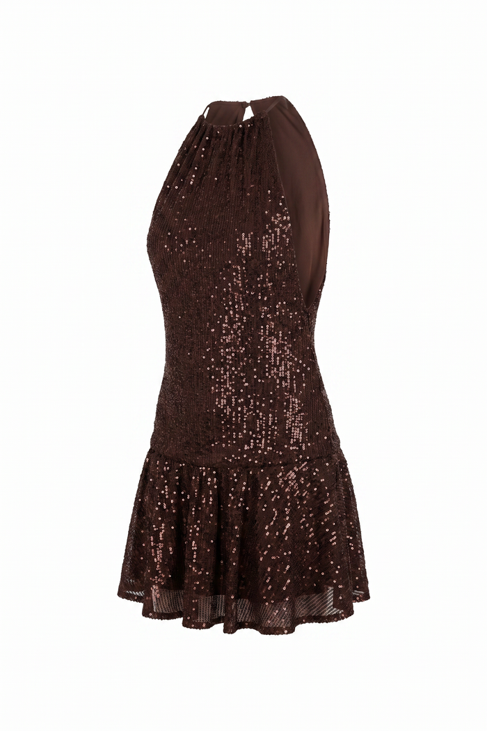 Chocolate sequin drop waist mini dress on a plain white background