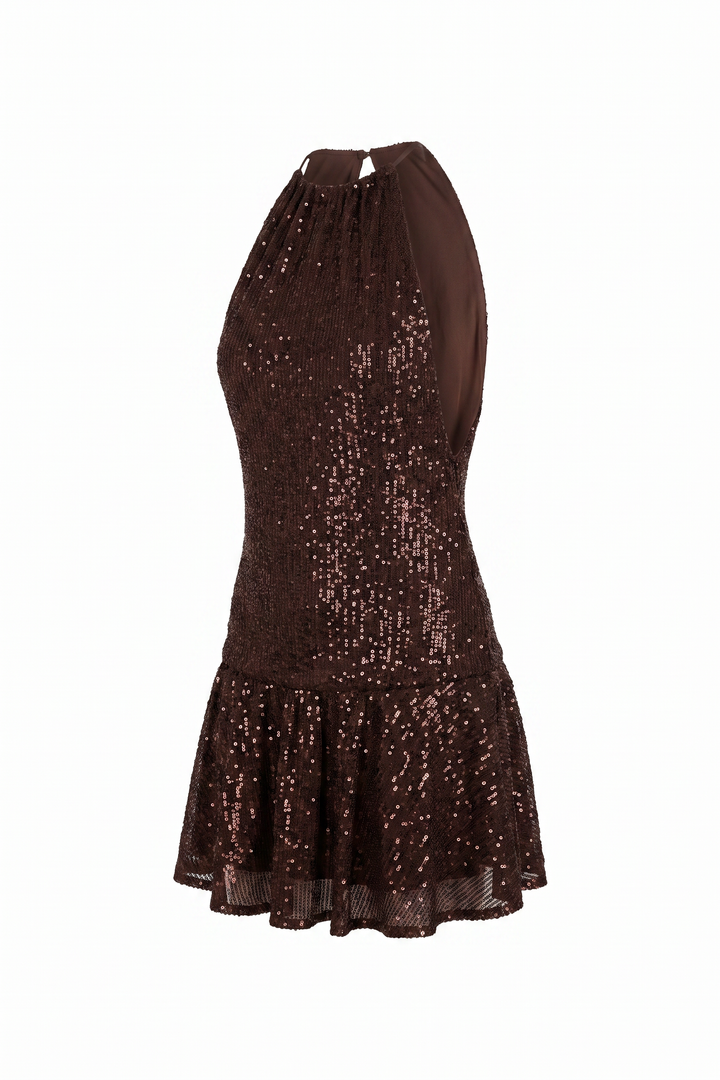 Chocolate sequin drop waist mini dress on a plain white background